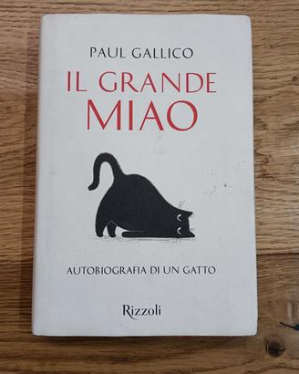 Il Grande Miao Autobiografia di un gatto Paul Gall