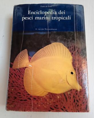 enciclopedia pesci marini 