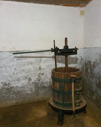 TORCHIO PER VINO 60