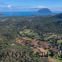 Terreno Agricolo - Loiri Porto San Paolo