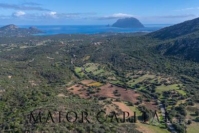 Terreno Agricolo - Loiri Porto San Paolo