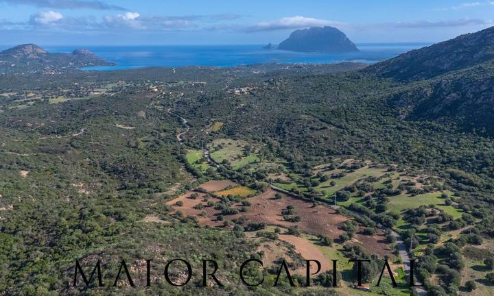 Terreno Agricolo - Loiri Porto San Paolo