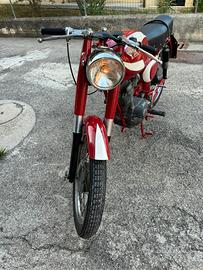 Morini corsaro