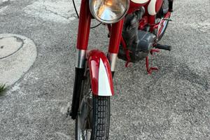 Morini corsaro