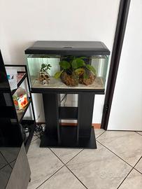 Aquario 60L + mobile