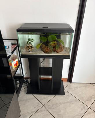 Aquario 60L + mobile