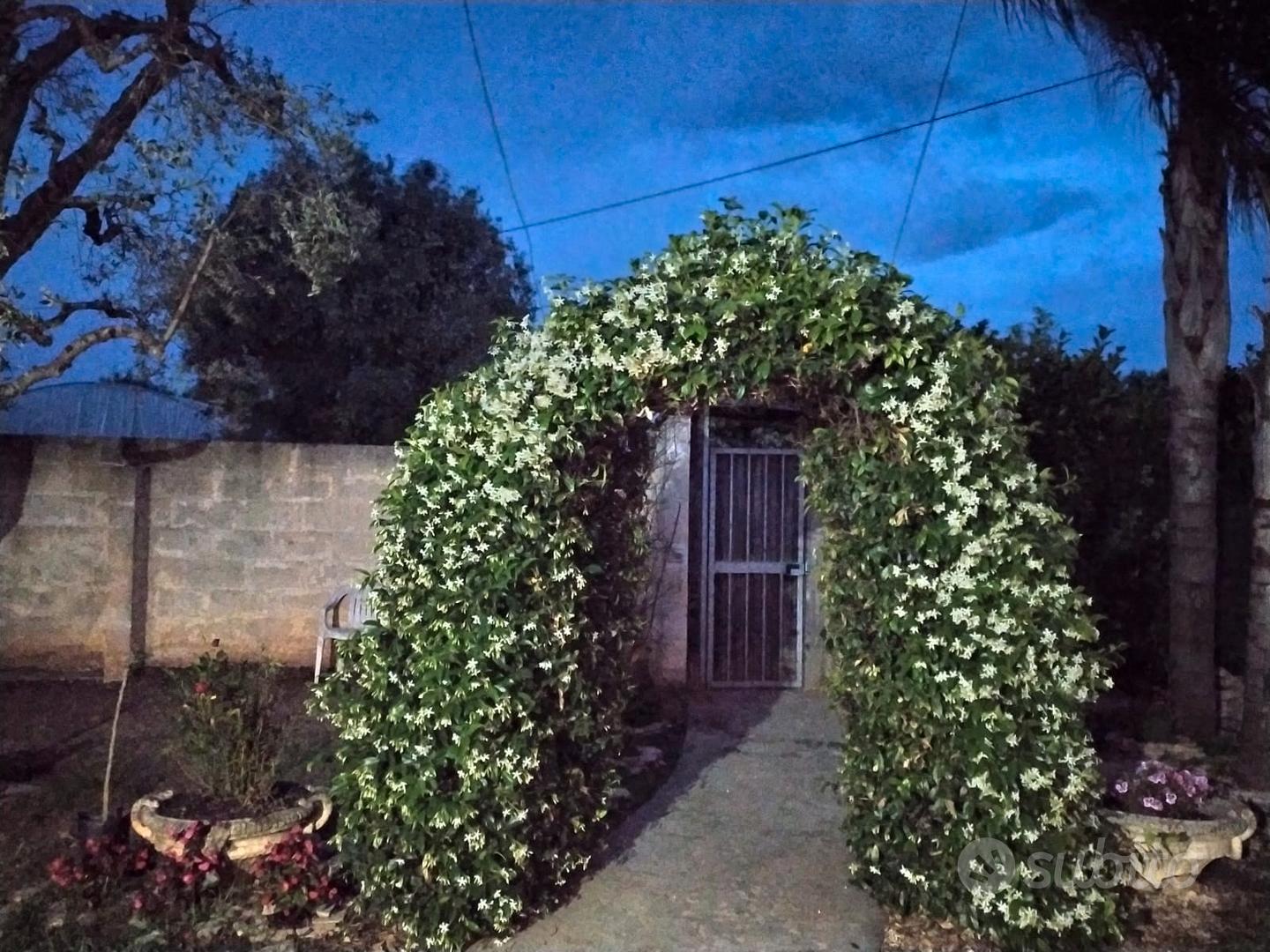 ? Villa in campagna con uliveto e ampio giardino - Vista 4