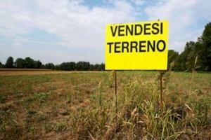 Correggio. Terreno urbanizzato commerciale