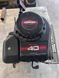 MOTORE RASAERBA/TAGLIAERBA