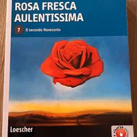 Rosa Fresca Aulentissima 7