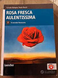 Rosa Fresca Aulentissima 7