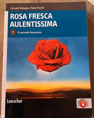 Rosa Fresca Aulentissima 7