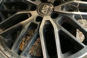 cerchi e gomme volkswagen