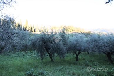 TER. AGRICOLO A MONTOPOLI DI SABINA