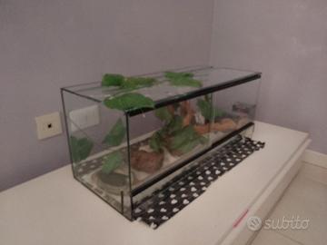 Terraio in vetro per rettili 70x30x30cm