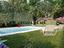 Immagine 12