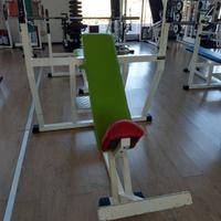 Panca inclinata Technogym