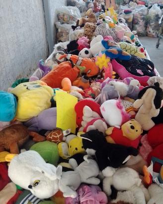 Lotti di Peluche Usati - 