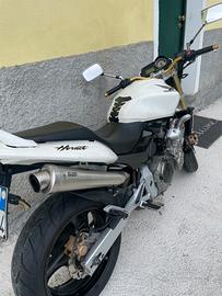 Honda Hornet 600