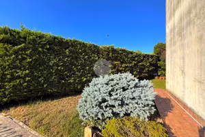 3 LOCALI A CASTEL D'AZZANO