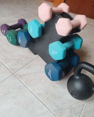 Pesi e cat ball