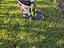 Immagine 3