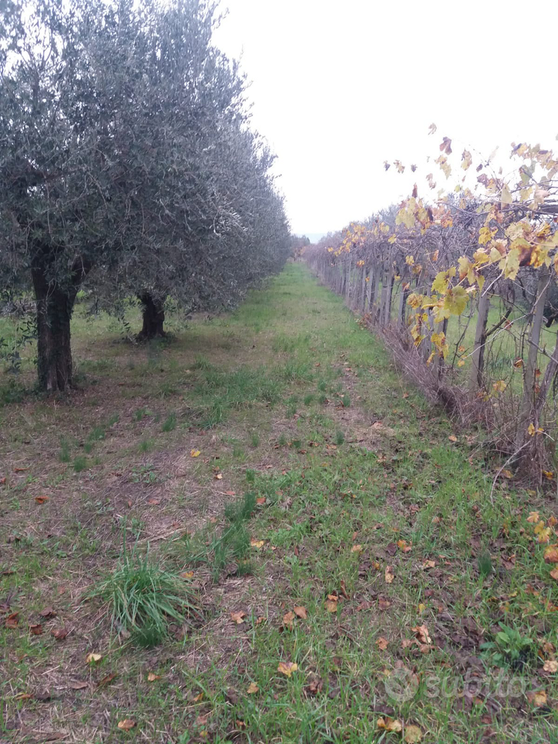 Terreno con manufatto condonato - Vista 2