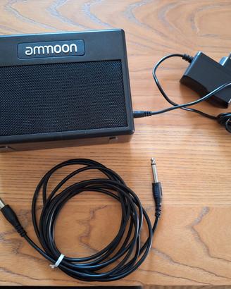 Amplificatore ammoon pockamp