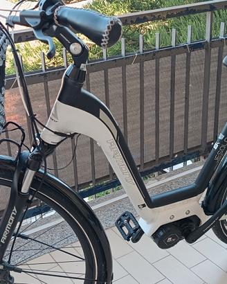 bicicletta elettrica 