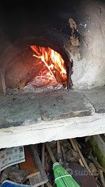 Casa più terreno.