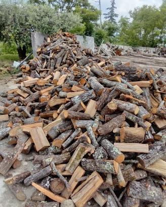 legna da ardere secca 