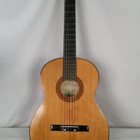 Chitarra Valencia CS40