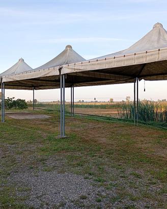 gazebo