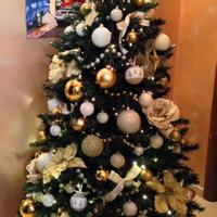 Albero di natale
