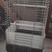 gabbia per pappagalli 