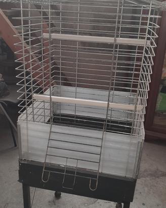 gabbia per pappagalli 