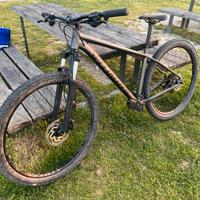 Bicicletta Specialized MTB da uomo