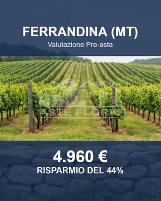 Immobile in asta di 3533 m² a Ferrandina
