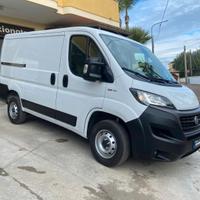 Fiat Ducato 33 2.3 MJT 120CV PC-TN Furgone