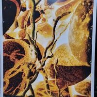 Fotografia contemporanea di Monica GA Mazzone