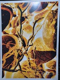 Fotografia contemporanea di Monica GA Mazzone