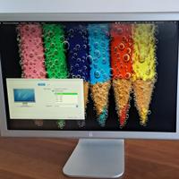 Apple Cinema Display 20