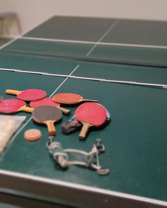 tavolo ping pong 