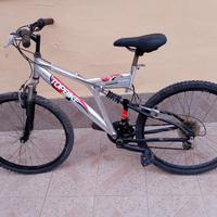 bicicletta
