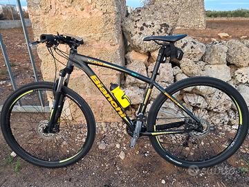 Bianchi Kuma 29.1