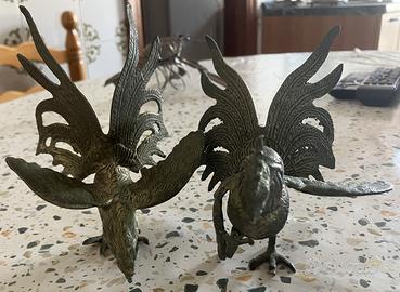 Coppia di galli da combattimento vintage