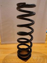 molla mono ammortizzatore Beta