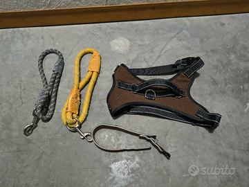 Set Guinzagli e collare per cani