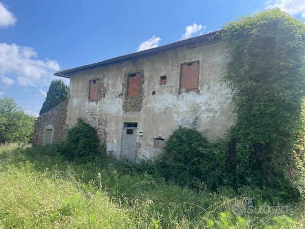 Azienda agricola con casale e vigneto chianti