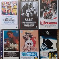 Lotto 6 Videocassette Pasolini, Fellini, Perlini